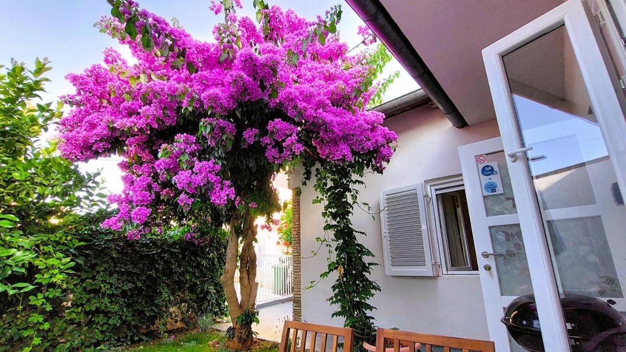 Holiday Home Zora - Family Vacation House Near Protected Area Of The Nature Park Kamenjak, With Green Yard, Wifi, Air-Con Premantura Eksteriør billede