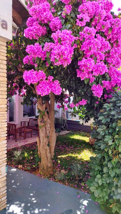 Holiday Home Zora - Family Vacation House Near Protected Area Of The Nature Park Kamenjak, With Green Yard, Wifi, Air-Con Premantura Eksteriør billede